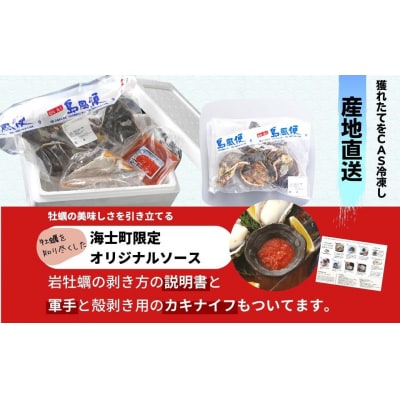 【ブランドいわがき春香】【訳あり】食べごろサイズ 2kgセット 春香 牡蠣 牡蛎 いわがき 岩牡蠣 