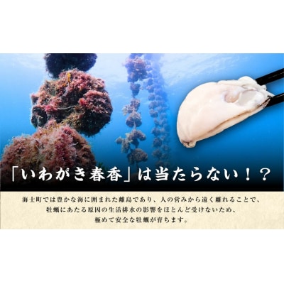 【ブランドいわがき春香】【訳あり】食べごろサイズ 1kgセット 春香 牡蠣 牡蛎 いわがき 岩牡蠣 