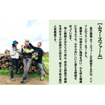 【農家直送】【2026年7月以降順次発送】海士町産 じゃがいも 10kg