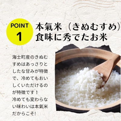 島のブランド米「本氣米(きぬむすめ)」10kg