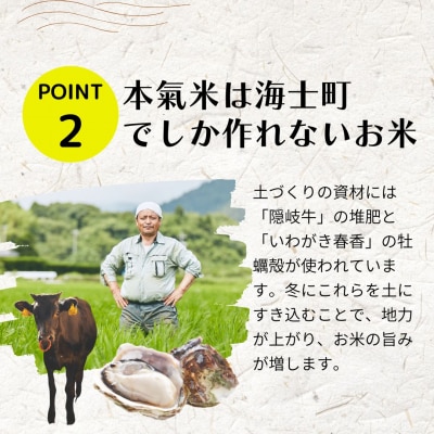 島のブランド米「本氣米(きぬむすめ)」10kg