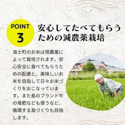 島のブランド米「本氣米(きぬむすめ)」10kg