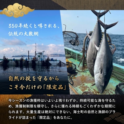 海士町産　クロマグロ 500g(100g×5パック)