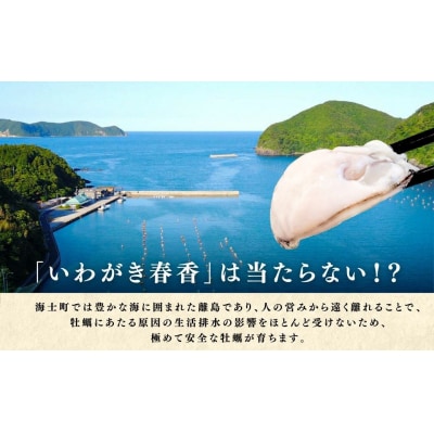 【ブランドいわがき春香】【訳あり】特大サイズ(LL～3L)2kgセット 牡蠣 牡蛎