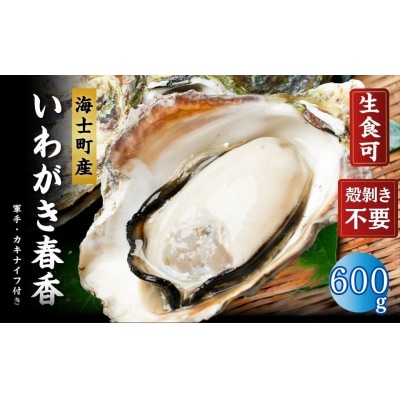 【ブランドいわがき春香/ 殻向き不要】【訳あり】食べごろサイズ 600g 海鮮 新鮮 生食 牡蠣