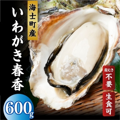 【ブランドいわがき春香/ 殻向き不要】【訳あり】食べごろサイズ 600g 海鮮 新鮮 生食 牡蠣