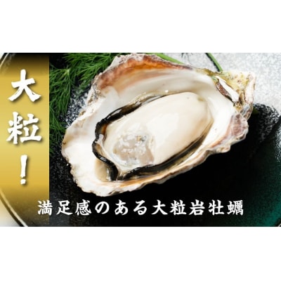 【ブランドいわがき春香/ 殻向き不要】【訳あり】食べごろサイズ 600g 海鮮 新鮮 生食 牡蠣
