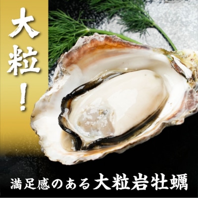【ブランドいわがき春香/ 殻向き不要】【訳あり】食べごろサイズ 600g 海鮮 新鮮 生食 牡蠣