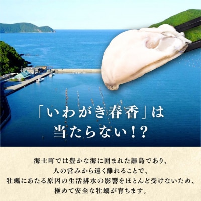 【ブランドいわがき春香/ 殻向き不要】【訳あり】食べごろサイズ 600g 海鮮 新鮮 生食 牡蠣