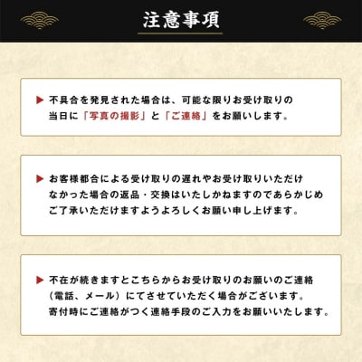 【ブランドいわがき春香/ 殻向き不要】【訳あり】食べごろサイズ 600g 海鮮 新鮮 生食 牡蠣