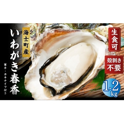 【ブランドいわがき春香/ 殻向き不要】【訳あり】食べごろサイズ 1.2kg 春香 牡蠣 岩牡蠣
