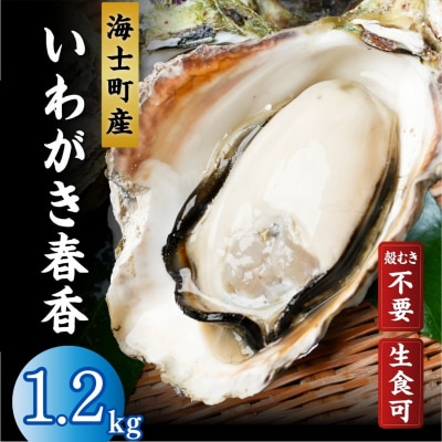 【ブランドいわがき春香/ 殻向き不要】【訳あり】食べごろサイズ 1.2kg 春香 牡蠣 岩牡蠣