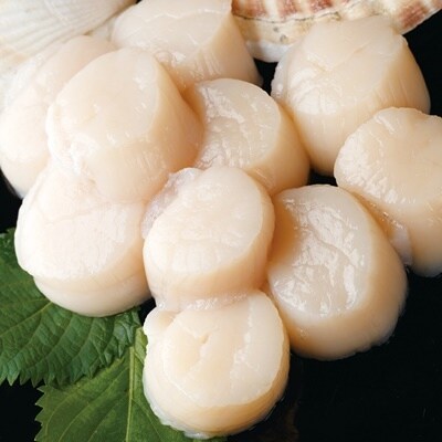 北海道猿払産 冷凍ホタテ貝柱 500g【01002】