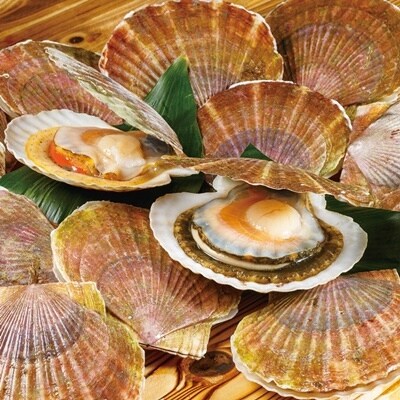 北海道猿払産 冷凍ホタテ貝柱 500g【01002】