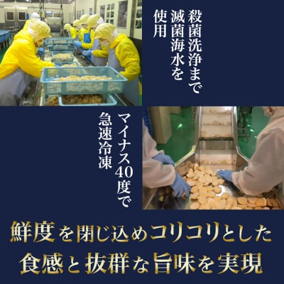 北海道猿払産　冷凍ホタテ貝柱「数量限定特サイズ(玉不揃い・若干の欠けあり)」1kg【0104405】