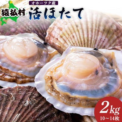 「活ほたて」2kg(10～14枚)　オホーツク産【1601001】