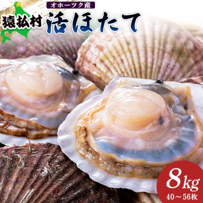 「活ほたて」8kg(40～56枚)　オホーツク産【1601301】