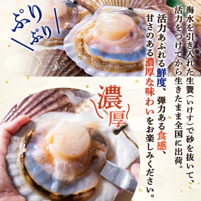 「活ほたて」8kg(40～56枚)　オホーツク産【1601301】