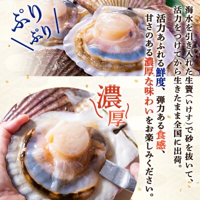 「活ほたて」10kg(50～70枚)　オホーツク産【1601401】