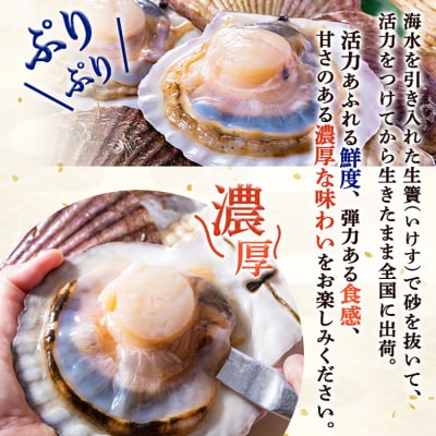 「活ほたて」大サイズ3kg(12～15枚)　オホーツク産【1601601】