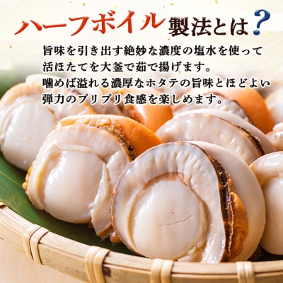 冷凍ハーフボイルホタテ「L～2L」大サイズ500g×2(16～25個)【1602201】