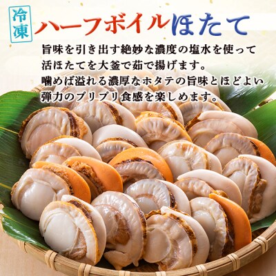 北隆丸冷凍ほたてセットほたて貝柱1kg・ハーフボイルほたて1kg【16024】