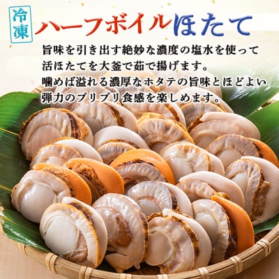 北隆丸冷凍ジャンボほたてセットほたて貝柱500g・ハーフボイルほたて500g【1602501】
