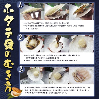 ～その場で選べる特産品～3,000円クーポン付きホタテ貝剥き体験【03035】