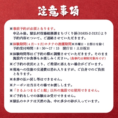 ～その場で選べる特産品～3,000円クーポン付きホタテ貝剥き体験【03035】