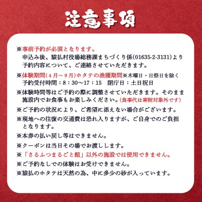 ～その場で選べる特産品～3,000円クーポン付きホタテ貝剥き体験【03035】