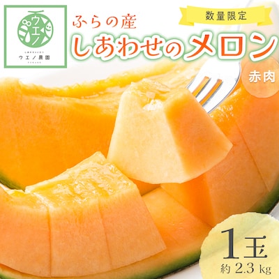 2025年発送】ふらの産 しあわせのメロン大玉(赤肉×1玉 約2.3kg 2025年発送】ふらの産 しあわせのメロン大玉(赤肉×1玉 約2.3kg