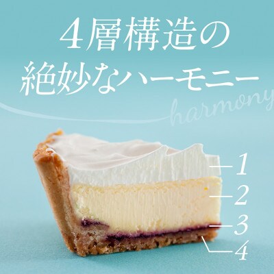 【毎月定期便】【お楽しみ4種セット】ふらの雪どけチーズケーキ 全3回
