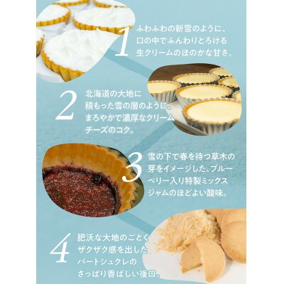【毎月定期便】【お楽しみ4種セット】ふらの雪どけチーズケーキ 全3回
