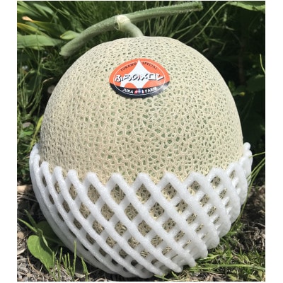 【2026年発送】特選　富良野メロン (赤肉)　4玉か5玉(大箱　計約8kg)