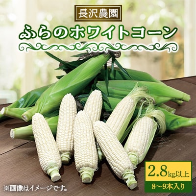 【2025年発送】富良野 ホワイトコーン 2.8㎏(8～9本)スイートコーン　とうもころし