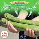 2026年先行予約「生」で食べられる!北海道富良野産　グリーンアスパラ　1kg(極太2Lサイズ)