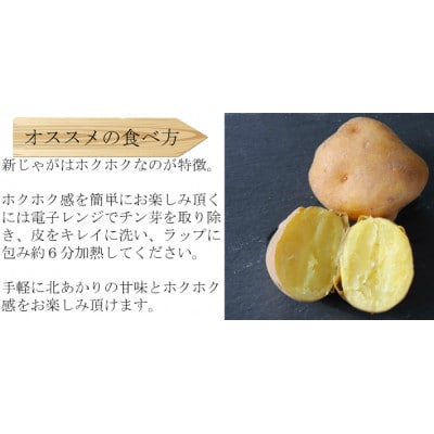 北海道富良野産 じゃがいも 北あかり 10kg(SサイズからLサイズ混合)