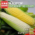 生で食べられるトウモロコシ2種類セット 恵味10本・ピュアホワイト10本