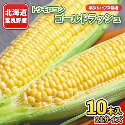 【2025年発送】北海道富良野産　生で食べられるとうもろこし　ゴールドラッシュ　10本入り