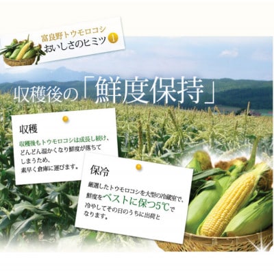 【2025年発送】北海道富良野産　生で食べられるとうもろこし　ゴールドラッシュ　10本入り