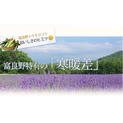 【2025年発送】北海道富良野産　生で食べられるとうもろこし　ゴールドラッシュ　10本入り
