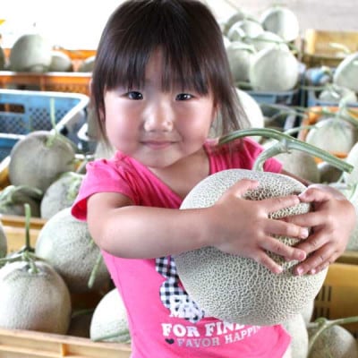 【のし付き】富良野メロン　特大2kg～2.1kg未満　2玉入り