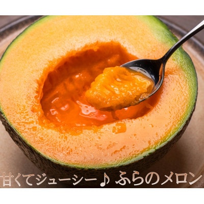 【のし付き】富良野メロン　特大2kg～2.1kg未満　2玉入り