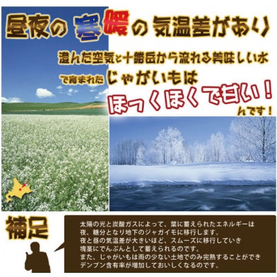 北海道富良野産　玉ねぎ・じゃがいも10kgセット