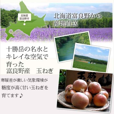 北海道富良野産　玉ねぎ10kg　S～Lサイズ混合