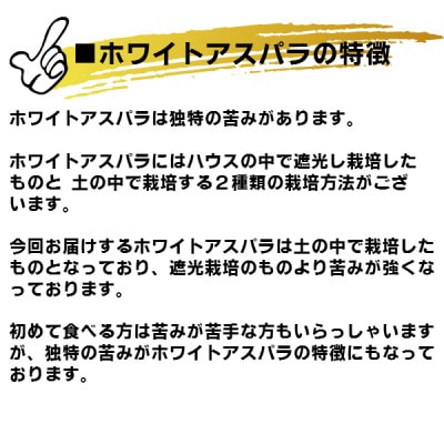 北海道富良野産　訳あり ホワイトアスパラ 1kg SサイズからMサイズ