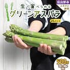 2026年先行予約生で食べられるアスパラ　北海道富良野産 グリーンアスパラガス 2Lサイズ 500g