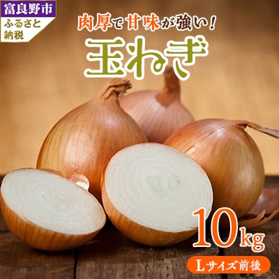 北海道富良野産　玉ねぎ Lサイズ前後 10kg