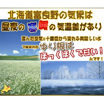北海道 富良野産　百合根(ゆりね) 1kg 訳あり