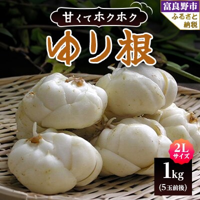 北海道 富良野産 2Lサイズ ゆり根 1kg(5玉前後)